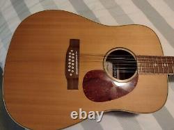 12 string acoustic dreadnought guitar made by the Indie Guitar Co. Ltd