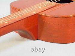 1937 Gibson Made Mastertone Special Hawaiian Guitar Project