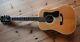 1974 Guild D-50 Maple Back And Sides American Made