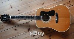 1974 Guild D-50 Maple back and sides American Made