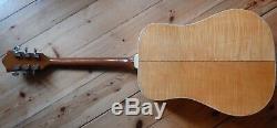 1974 Guild D-50 Maple back and sides American Made