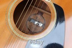 1983 Morris MD-505 Acoustic Dreadnought Guitar (Made in Japan)