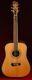 2001 Tacoma Dr20 Solid Indian Rosewood & Solid Spruce Acoustic Guitar Us Made
