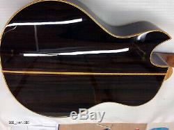 2017 Abraham Wechter custom made Florentine Elite Nylon Guitar with pickup