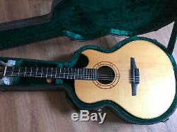 2017 Abraham Wechter custom made Florentine Elite Nylon Guitar with pickup