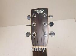 70's BIRD DREADNOUGHT ACOUSTIC made in JAPAN by TERADA