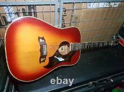 70's UNIVOX DOVE DREADNOUGHT made in IBANEZ JAPAN FACTORY