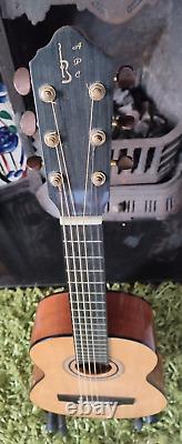 APC CCT 1S 3/4 Size Classical Folk Guitar Steel Strings Hand made in Portugal