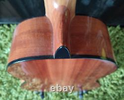 APC CCT 1S 3/4 Size Classical Folk Guitar Steel Strings Hand made in Portugal