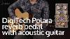Acoustic Guitar And Digitech S Lexicon Equipped Polara Reverb A Match Made In Heaven