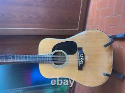 Acoustic guitar 12 String Ariana Model 9024. Made IN JAPPAN