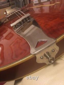 Alden Clarks 12 String Left Handed Custom Made Semi Acoustic Electric Guitar