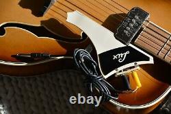 Alte Gitarre Guitar Lux Archtop Schlaggitarre mit Tonabnehmer Made in Germany