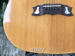 Aria Pro II Custom WD-35 Dove Model Aria Matsumoku Acoustic Guitar Made in Japan
