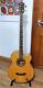 Ashbury Sbc-200se, Korean Made Electro Acoustic Bass & Hard Case