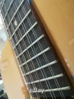 Chitarra Acustica Ariana 12 corde model 9024 made in Japan