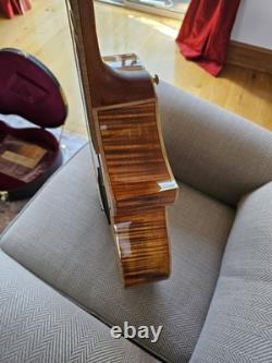 Cort Custom Made Semi-Accoustic Guitar Eifel Tower Limited Edition