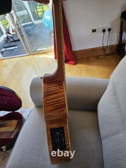 Cort Custom Made Semi-Accoustic Guitar Eifel Tower Limited Edition