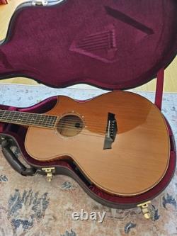 Cort Custom Made Semi-Accoustic Guitar Eifel Tower Limited Edition