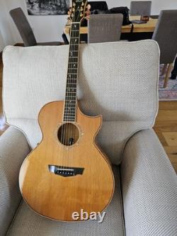 Cort Custom Made Semi-Accoustic Guitar Eifel Tower Limited Edition