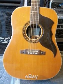 EKO ranger Vintage acoustic, Made in italy all original, very clean. Low action