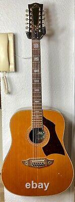 Eko Rio Bravo 12 string vintage acoustic guitar. Made in Italy 70s