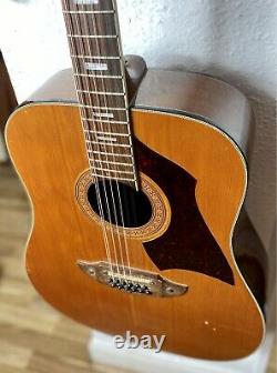 Eko Rio Bravo 12 string vintage acoustic guitar. Made in Italy 70s