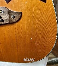 Eko Rio Bravo 12 string vintage acoustic guitar. Made in Italy 70s