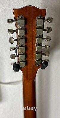 Eko Rio Bravo 12 string vintage acoustic guitar. Made in Italy 70s