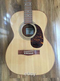 Gianninni acoustic. Made in Brazil. Giannini GWSFKM