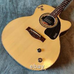 Givson Venus Rose Steel String Electro Acoustic Guitar Made In India With Pickup