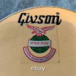 Givson Venus Rose Steel String Electro Acoustic Guitar Made In India With Pickup