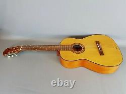 HOFNER 6 String Acoustic Guitar German Made EHB