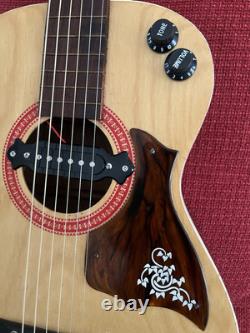 Harmony H928 Stella acoustic/electric parlor All Original -Made in USA-Nice