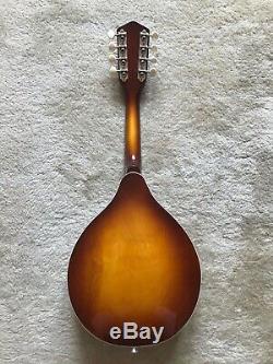 Harmony Mandolin, top of the line! 1970s made in USA, recent setup, OHSC