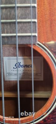 Ibanez PCBE12MH-OPN Performance Series Acoustic Electric Bass, Made in Indonesia