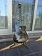 K Yairi Electric Acoustic Guitar Custom Made 1992 Used Good Condition From Japan