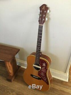 Landola Acoustic Guitar with LR Baggs M1A Pickup & Case (Made in Finland) Gibson