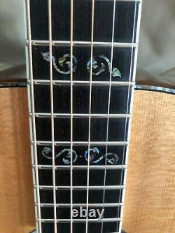 Larrivee P-10 Custom Shop'Genesis' 1 of 3 ever made. Collectors Piece