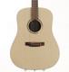 Martin Acoustic Guitarused Martin Dxm Usa Made 1999 Martin Martin Acoustic