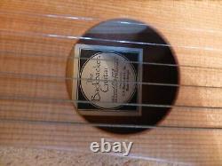 MARTIN backpacker travel Guitar and carry bag Made In Mexico early model