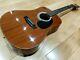 Mik Antoria Electro Acoustic Guitar Made In Korea By Ibanez, Lovely Condition