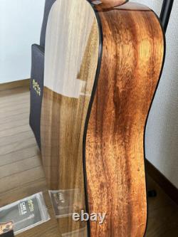 Martin D-12E Koa / Acoustic Guitar with Original Gig Bag made in 2020s