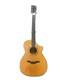 Nt501 Nt501/electric Acoustic Guitar/hard Case Included/made In 2011/natura