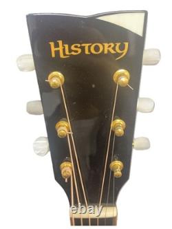 NT501 NT501/Electric acoustic guitar/Hard case included/Made in 2011/Natura