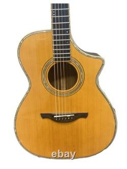 NT501 NT501/Electric acoustic guitar/Hard case included/Made in 2011/Natura