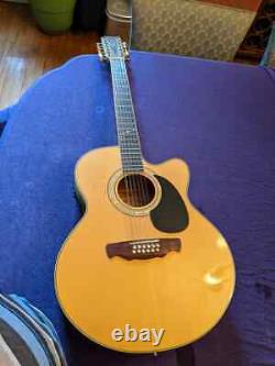 Nice Alvaez 12 String, Fac. Electronics low action plays well Made in Korea VGC