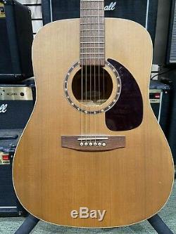 Norman B18 Cedar, Canadian Made Acoustic Guitar, Used