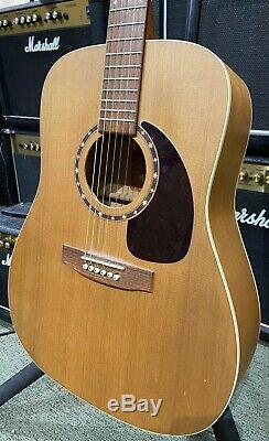 Norman B18 Cedar, Canadian Made Acoustic Guitar, Used