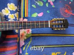 Octave Mandolin Guitar Conversion! Green! 8 String! Acoustic! OOAK! Mandocello